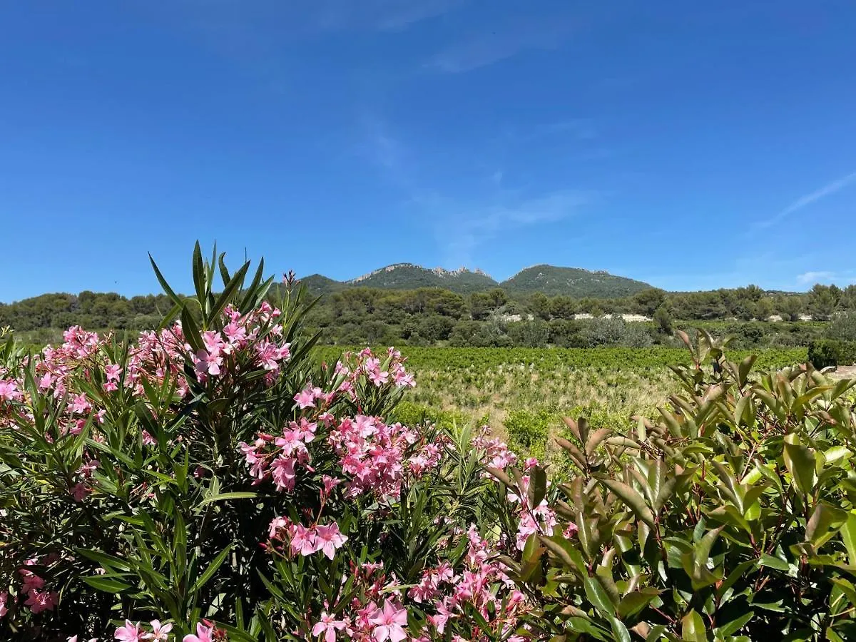 Cote Dentelles Bed & Breakfast Vacqueyras